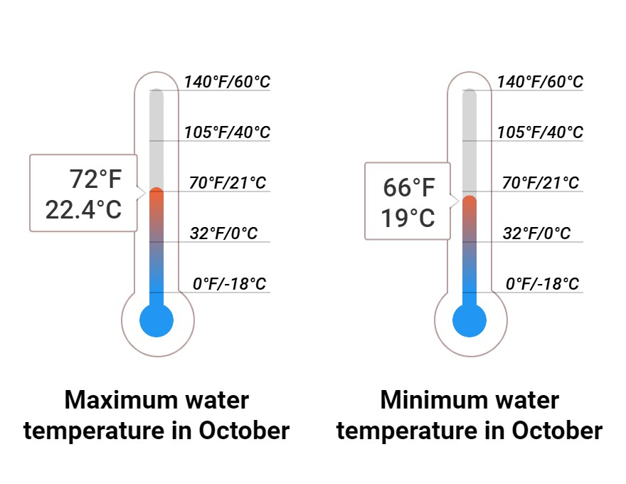 Average Sea temperature